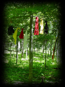 736 Indian Prayer Cloths
